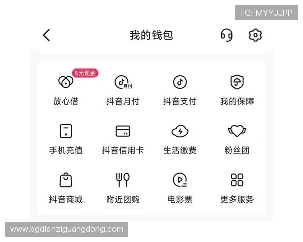 加入pg娱乐登陆官网，体验极速充值提现和便捷的操作流程