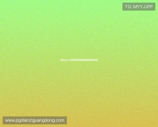 掌握pgyer官网进入技巧确保顺利下载和测试最新应用版本